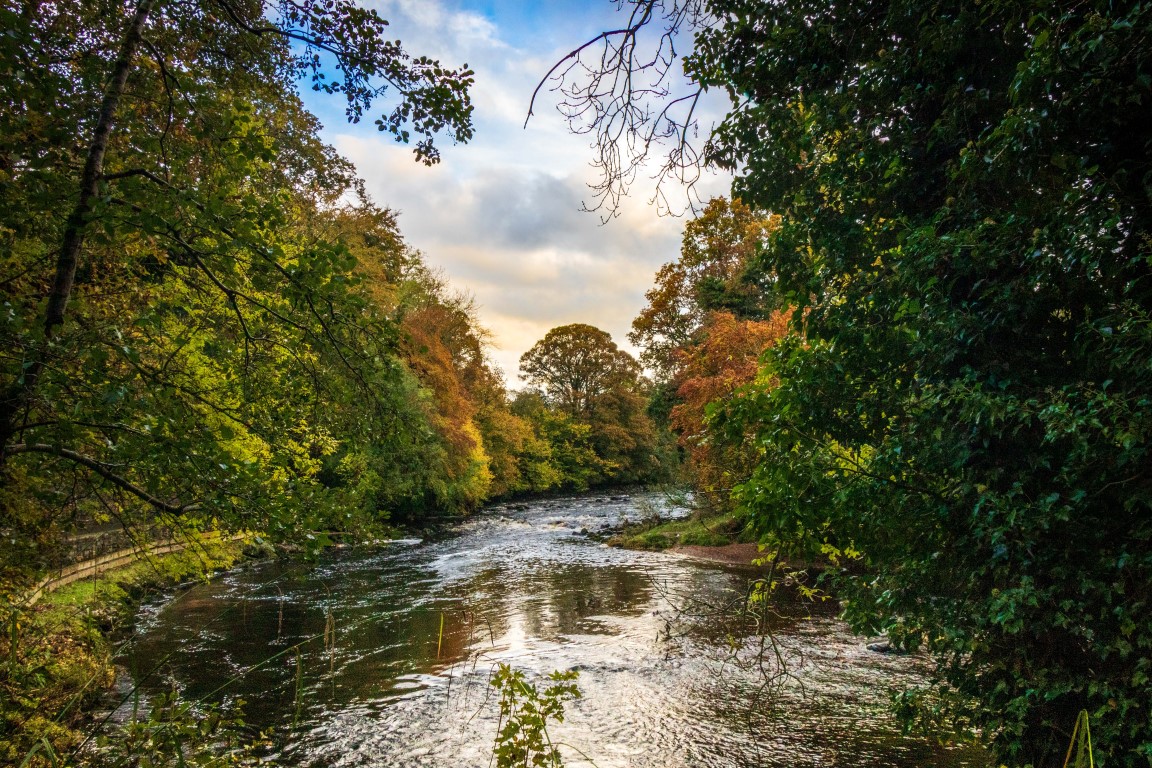 River Roe in autumn