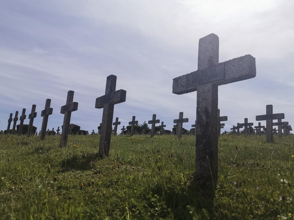 crosses marking graves